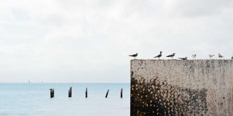 海淘67时代:揭秘跨境电商、免税购物与海外代购的消费新法则