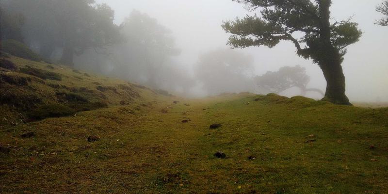 海淘家具家电避坑指南：从海外仓直邮到售后，一篇讲透大件跨境购物