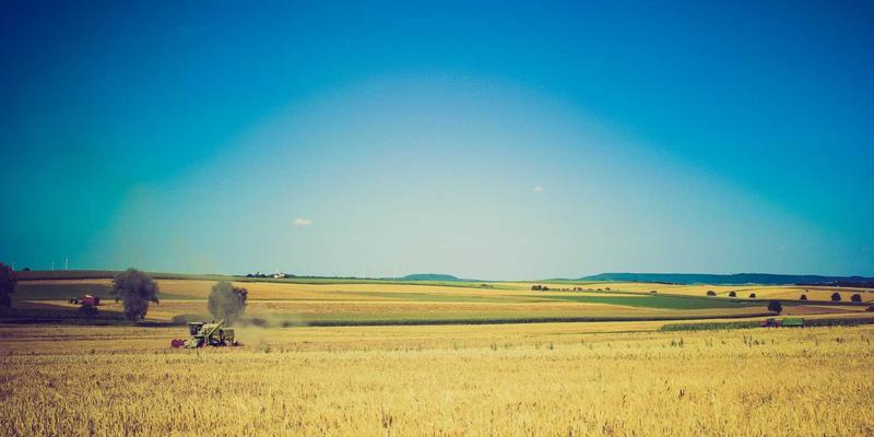 海淘葡萄酒与烈酒全攻略：从海外仓直邮到关税计算，新手避坑指南